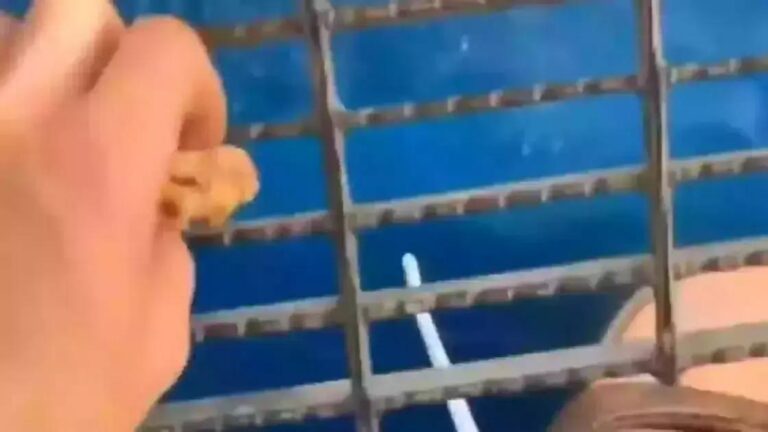 O vídeo que deixou internautas com medo do mar após um experimento inusitado