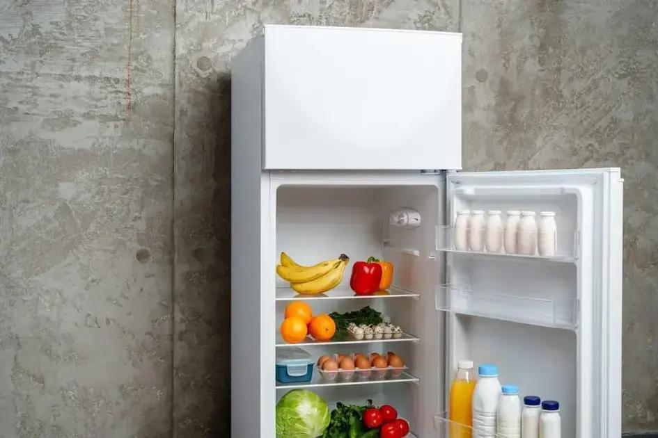 6 Dicas Para Reduzir o Consumo de Energia da Sua Geladeira