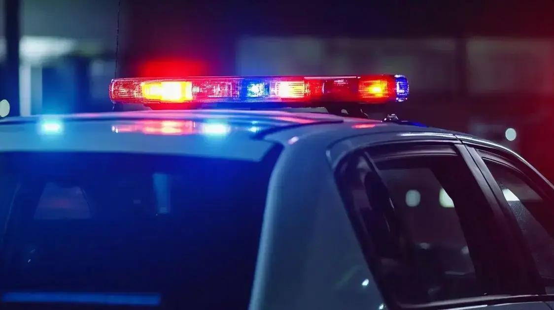 Babá descobre intruso e surpreende o mundo com sua coragem