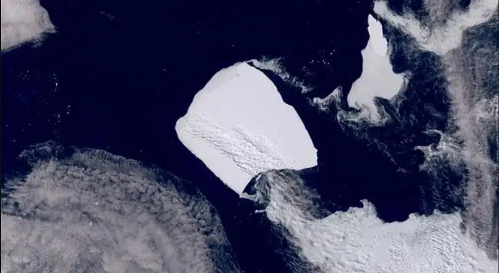 Descoberta incrível: ecossistema marinho oculto na Antártica revelado por iceberg - Informa Cidadao Descoberta incrível: ecossistema marinho oculto na Antártica revelado por iceberg