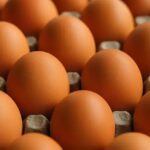 Como conservar ovos corretamente: dicas que fazem a diferença