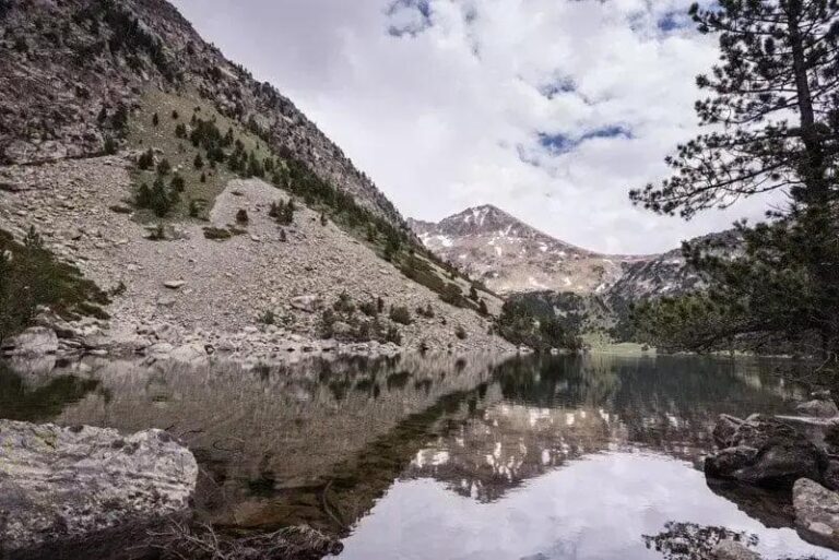 Investigação revela a origem dos peixes em lagos de montanha nos Pirineus
