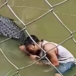 Turista sofre ataque de crocodilo ao tentar selfie em zoológico