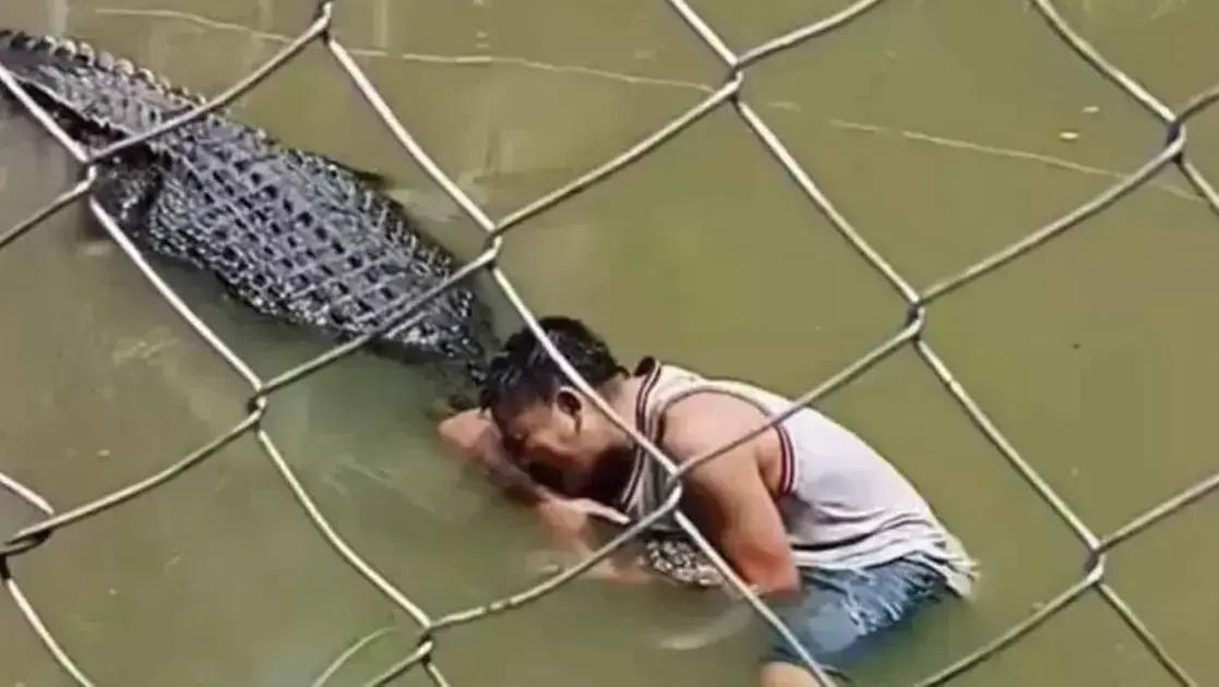 Turista sofre ataque de crocodilo ao tentar selfie em zoológico