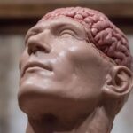 O Impacto Surpreendente do Silêncio no Cérebro e na Saúde Mental