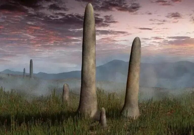 Mistérios das árvores gigantes do Paleozoico ainda intrigam cientistas
