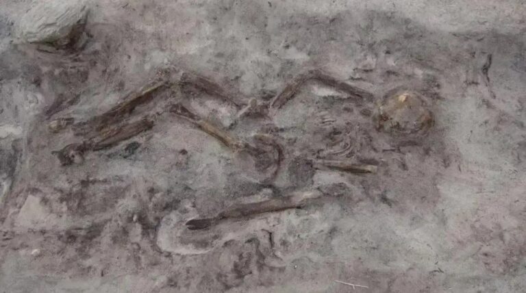 Os Impactos Desconhecidos das Âncoras nos Oceanos